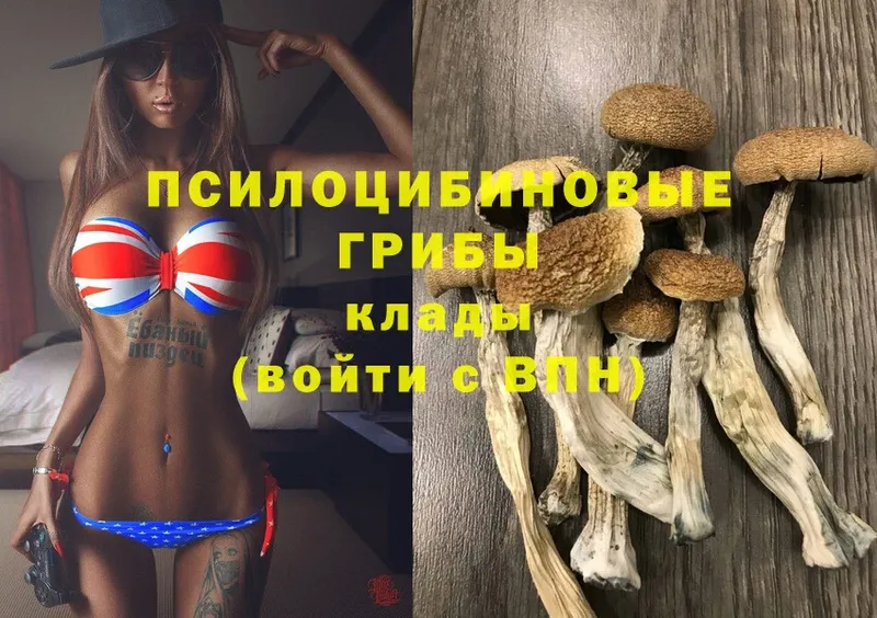 Псилоцибиновые грибы MAGIC MUSHROOMS  Серов 